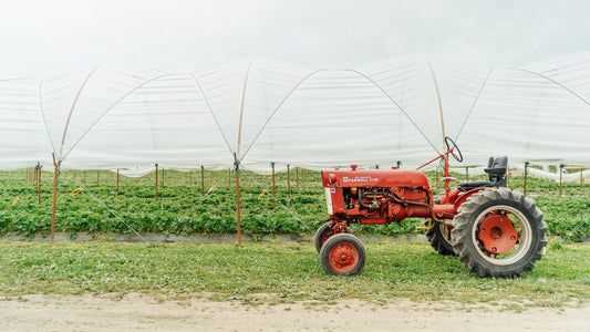 Project #45 in Skagit Valley, WA