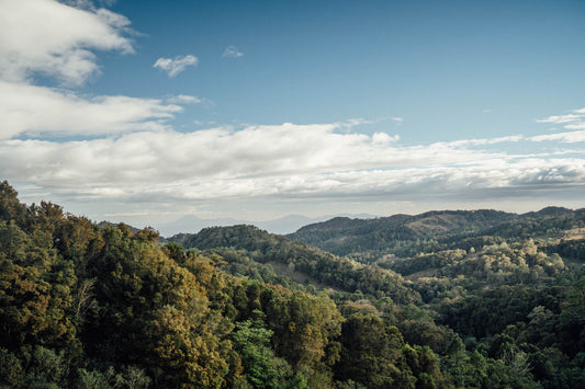 Project #43 in Lempira, Honduras