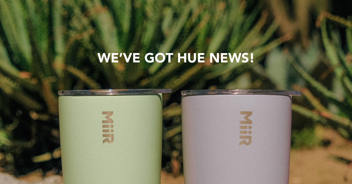 Limited Edition Colors: Cactus Green and Haze Purple – MiiR.com