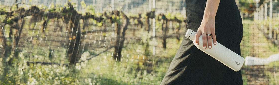 Person holding the MiiR Wine Bottle in a vineyard
