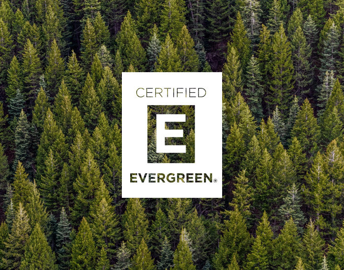 Certified Evergreen