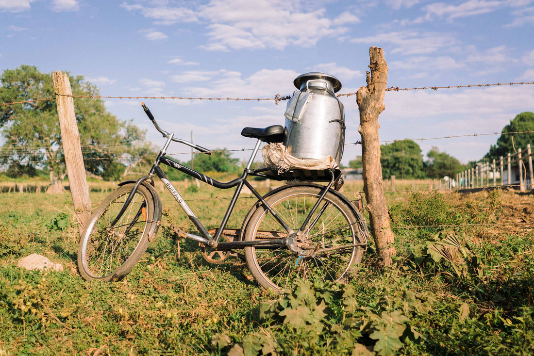 Empowerful Podcast: World Bicycle Relief