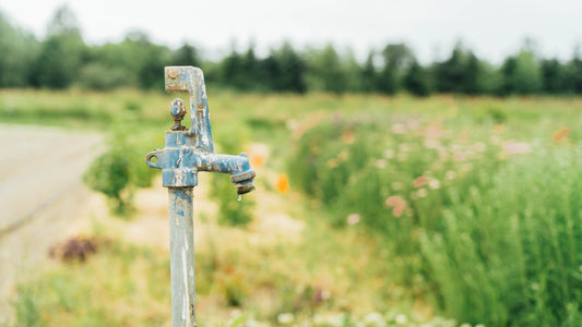 Empowerful Podcast: Michael Frazier, Executive Director: Viva Farms