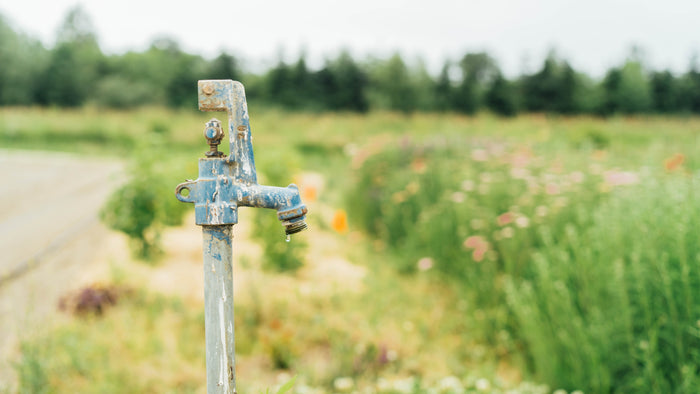 Empowerful Podcast: Michael Frazier, Executive Director: Viva Farms