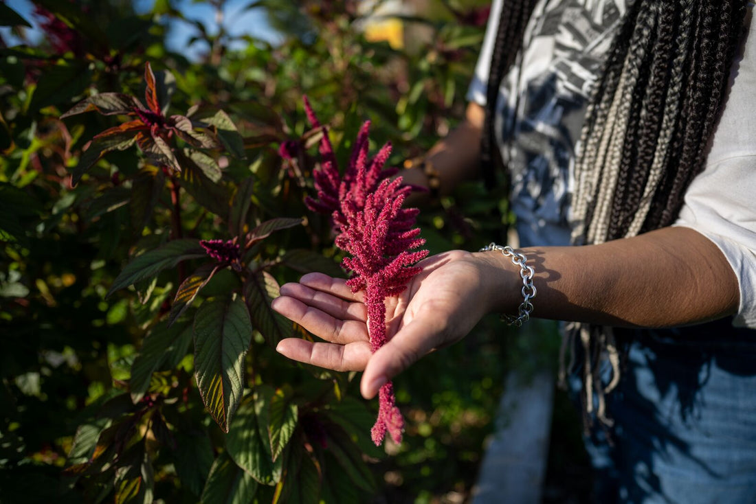 Growing Food, Growing Futures: Supporting the IRC’s New Roots Program This Holiday Season