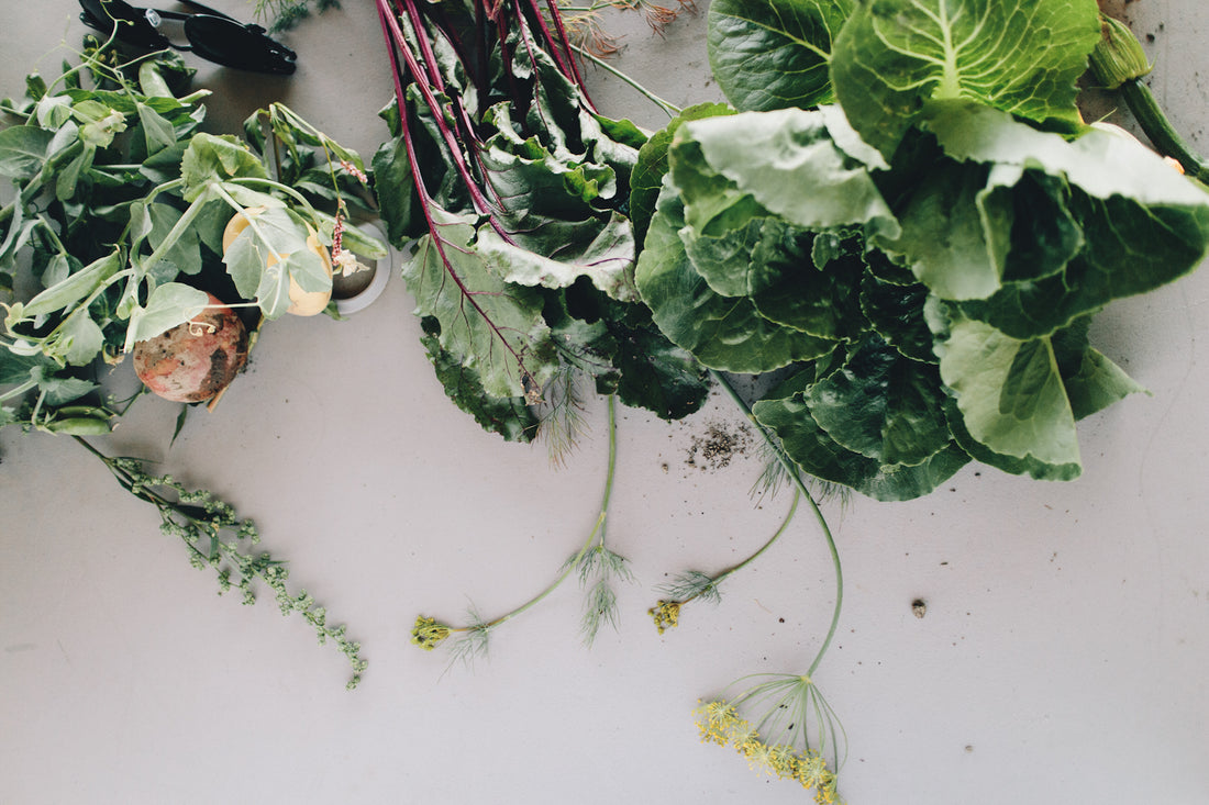 MiiR x Washington Farmland Trust