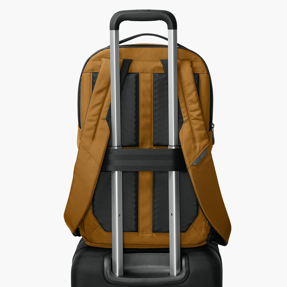 Kondoh Classic 18L Backpack - Amber Haze - Flat Passthrough